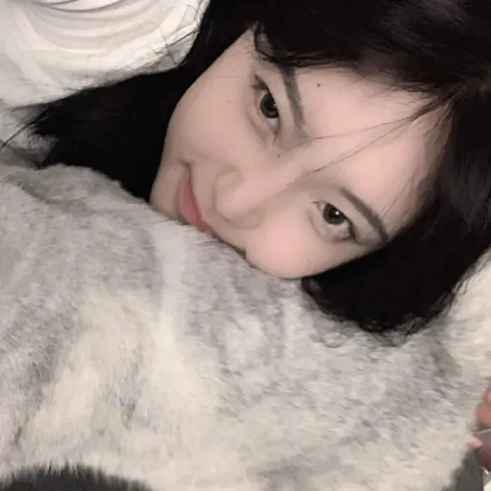 墨城谜案